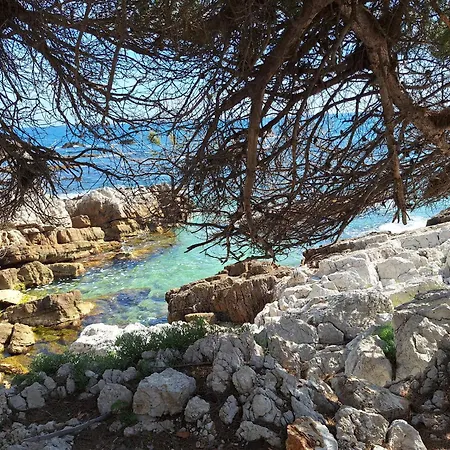 公寓 Au Coeur Du Cap D'antibes Pour 2 Personnes *