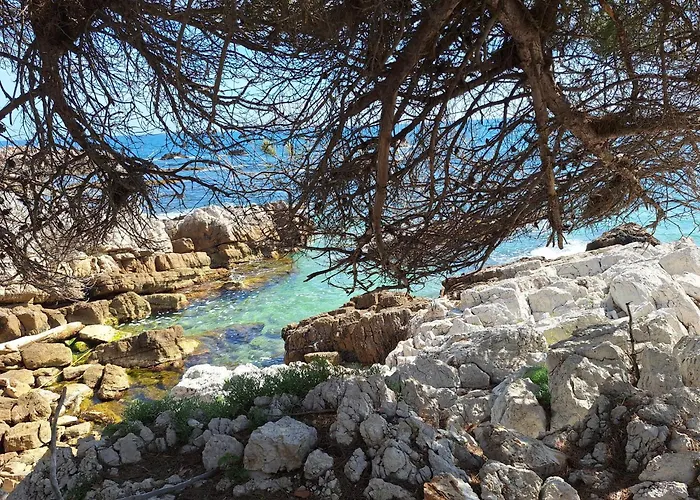 公寓 Au Coeur Du Cap D'antibes Pour 2 Personnes *